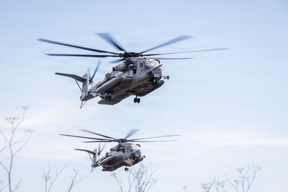 1st ANGLICO Conducts FEX