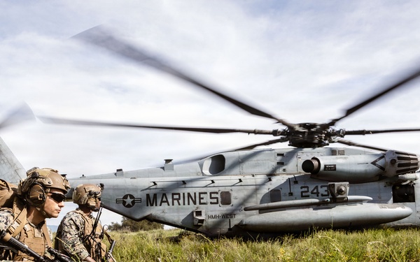 1st ANGLICO Conducts FEX