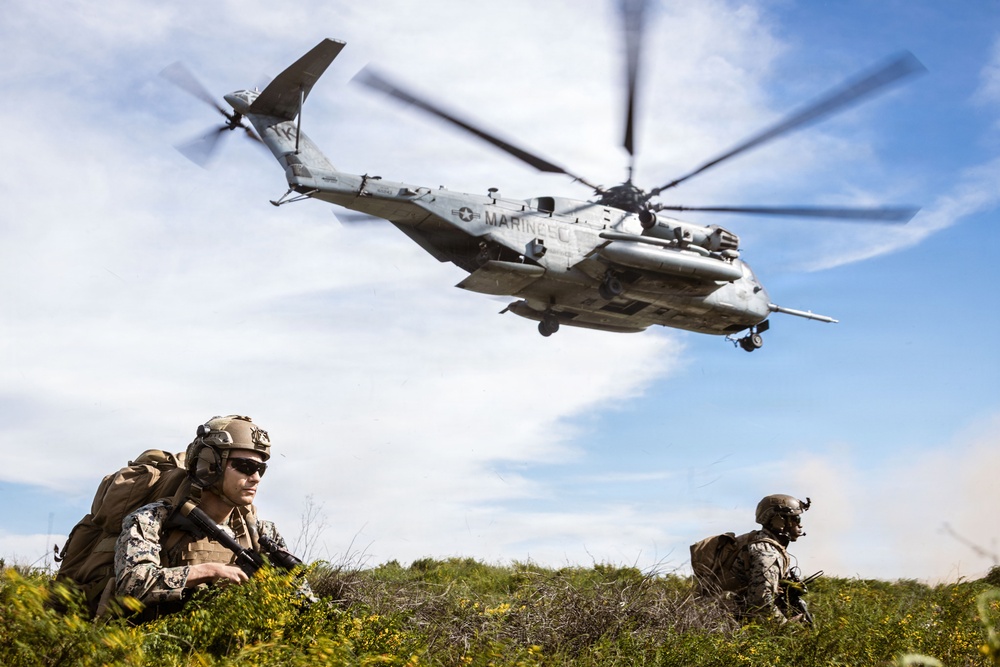 1st ANGLICO Conducts FEX