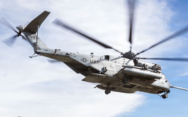 1st ANGLICO Conducts FEX