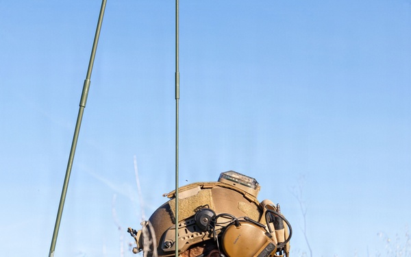 1st ANGLICO Conducts FEX