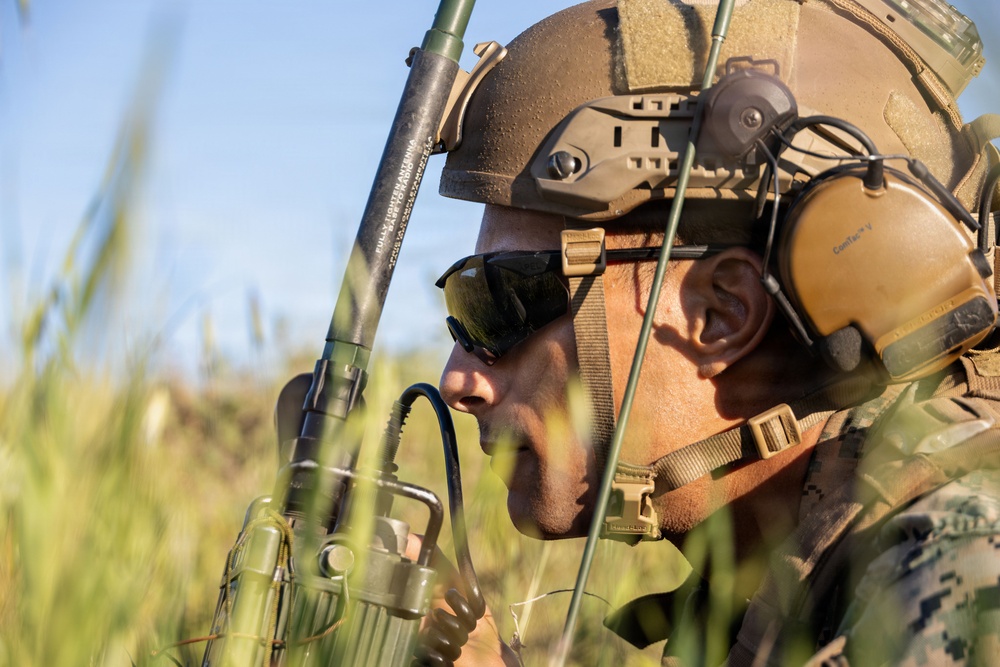 1st ANGLICO Conducts FEX