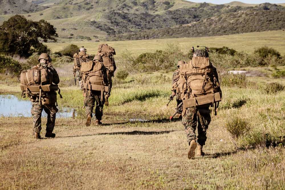 1st ANGLICO Conducts FEX