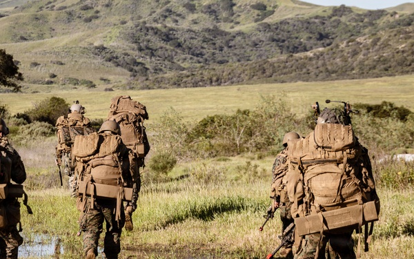 1st ANGLICO Conducts FEX