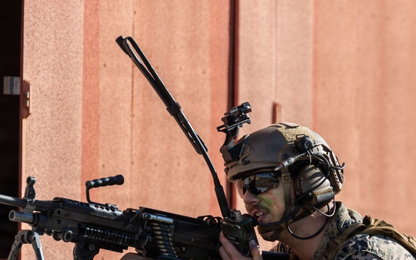 1st ANGLICO Conducts FEX