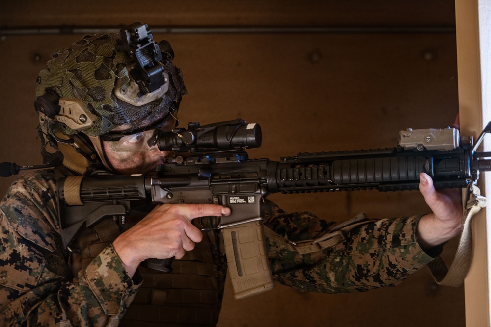 1st ANGLICO Conducts FEX