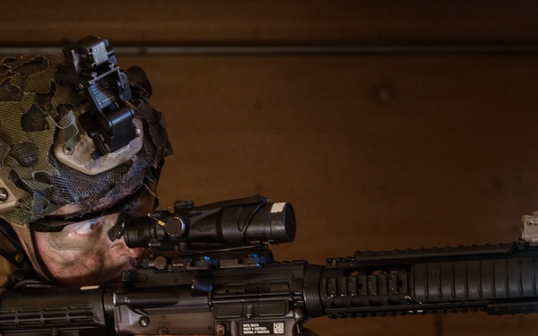 1st ANGLICO Conducts FEX