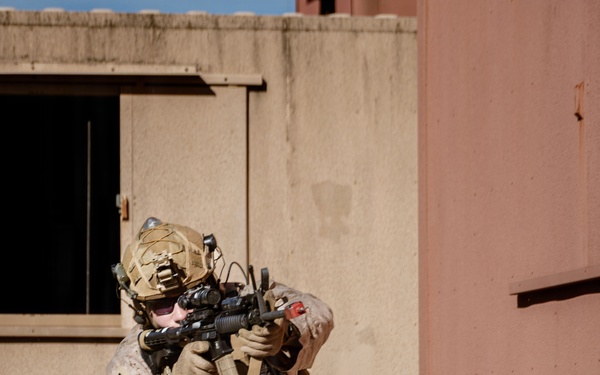 1st ANGLICO Conducts FEX