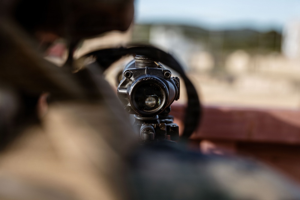 1st ANGLICO Conducts FEX