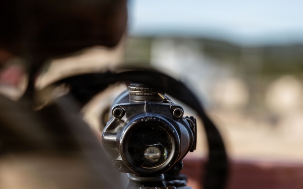 1st ANGLICO Conducts FEX