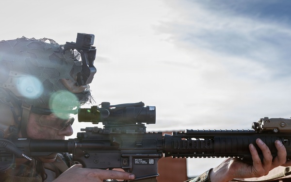 1st ANGLICO Conducts FEX