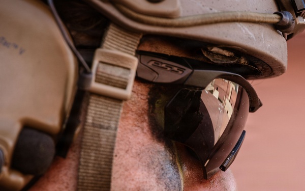 1st ANGLICO Conducts FEX