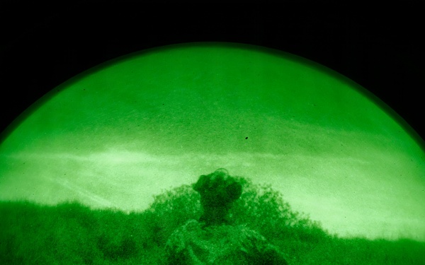 1st ANGLICO Conducts FEX