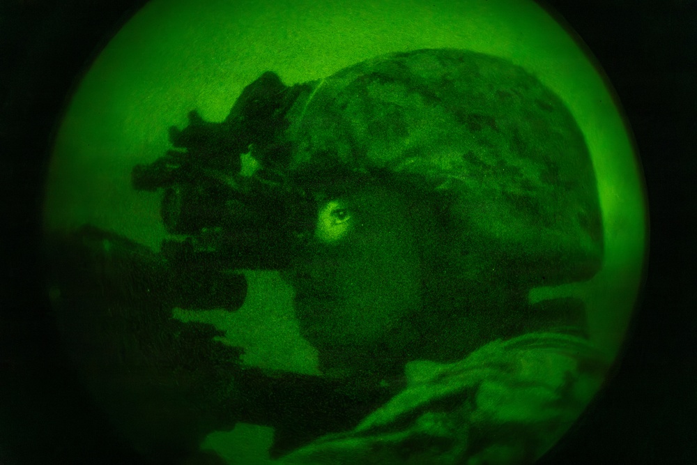 1st ANGLICO Conducts FEX