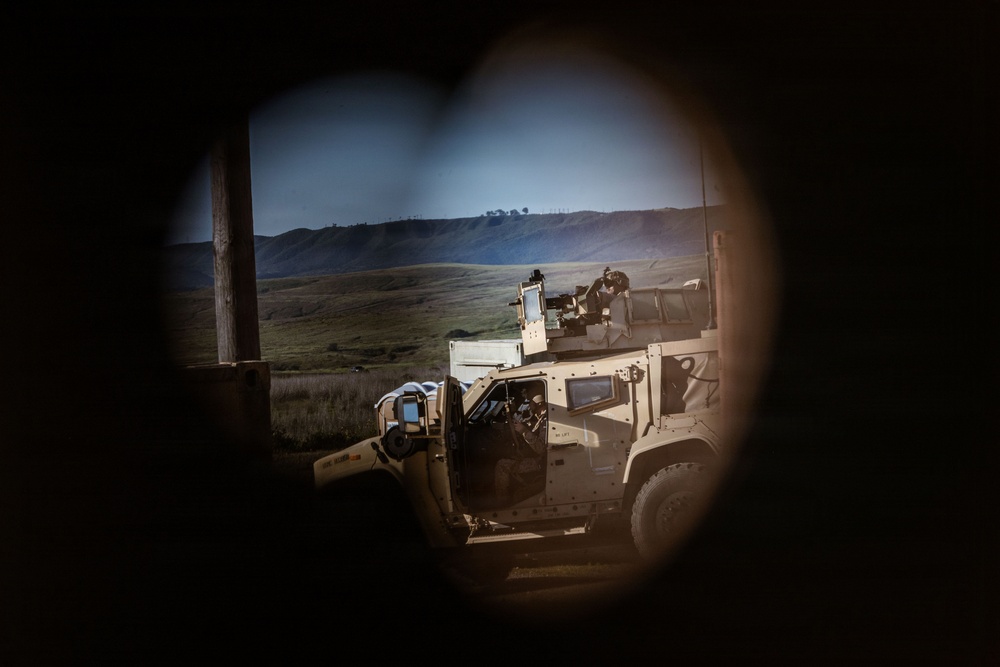 1st ANGLICO Conducts FEX