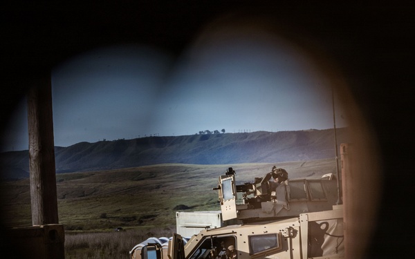 1st ANGLICO Conducts FEX