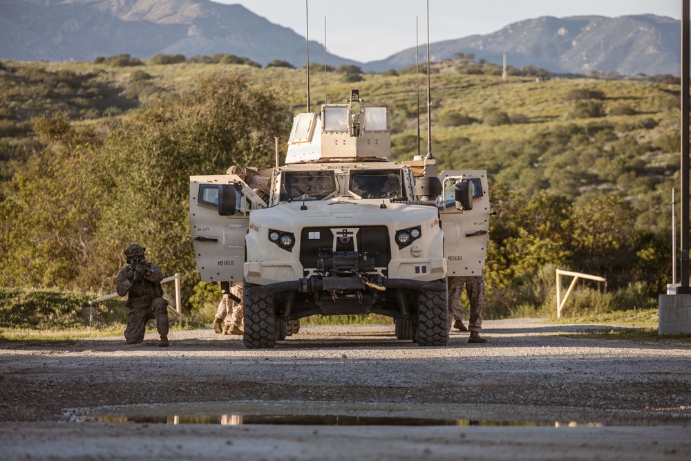 1st ANGLICO Conducts FEX