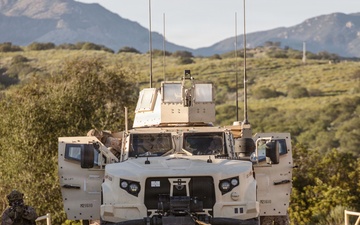 1st ANGLICO Conducts FEX