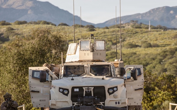 1st ANGLICO Conducts FEX