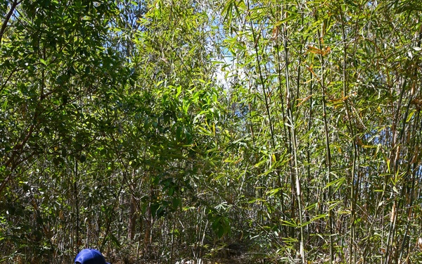 26-2LA Recovery Team 3 Begins Site Setup