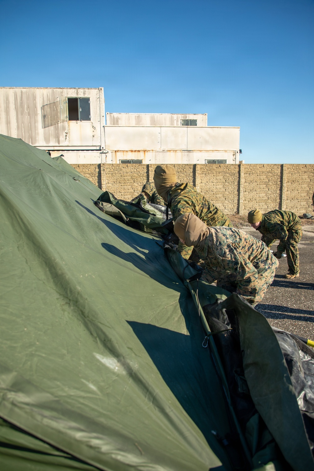 Noncombatant Evacuation Operation during CERTEX