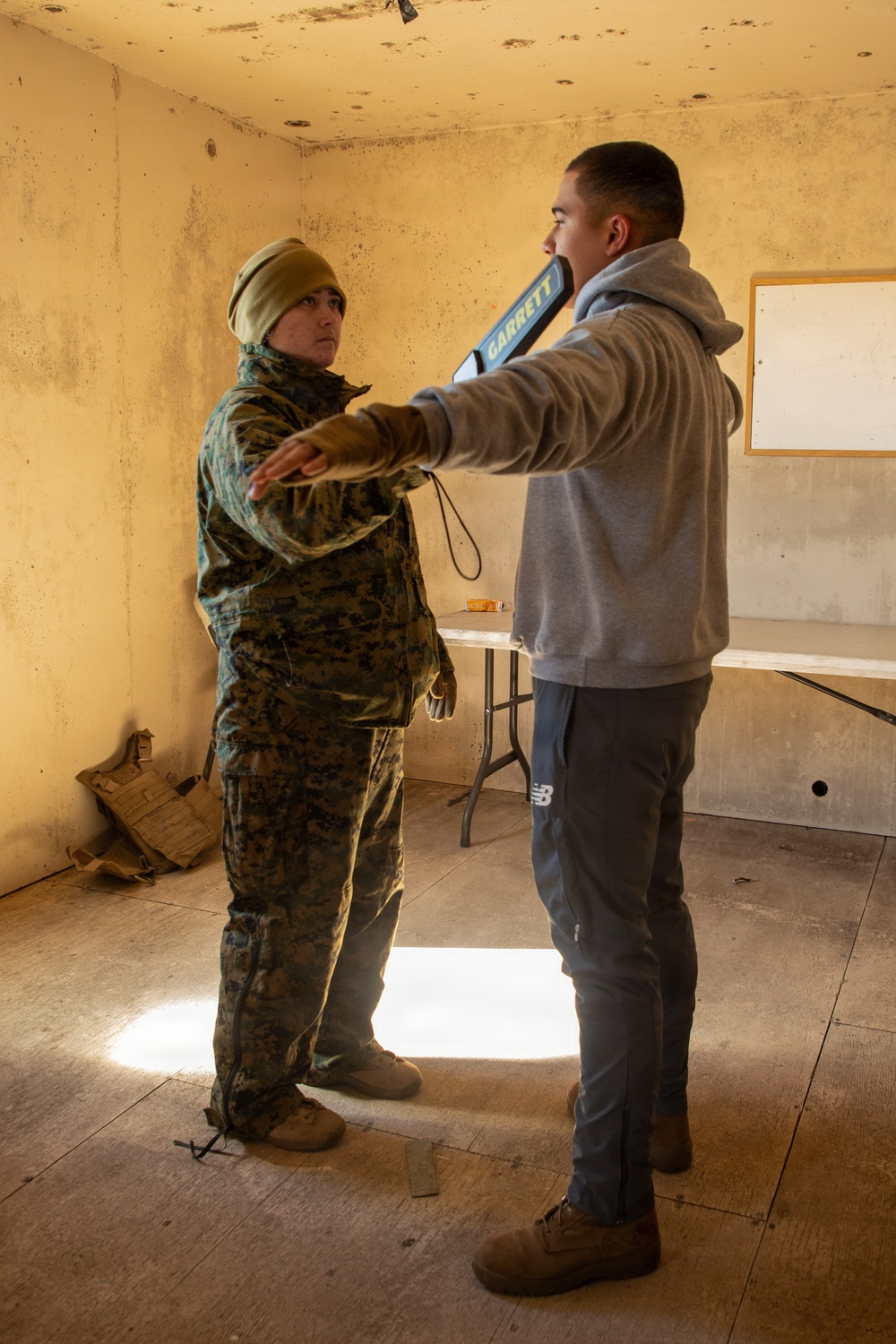 Noncombatant Evacuation Operation during CERTEX