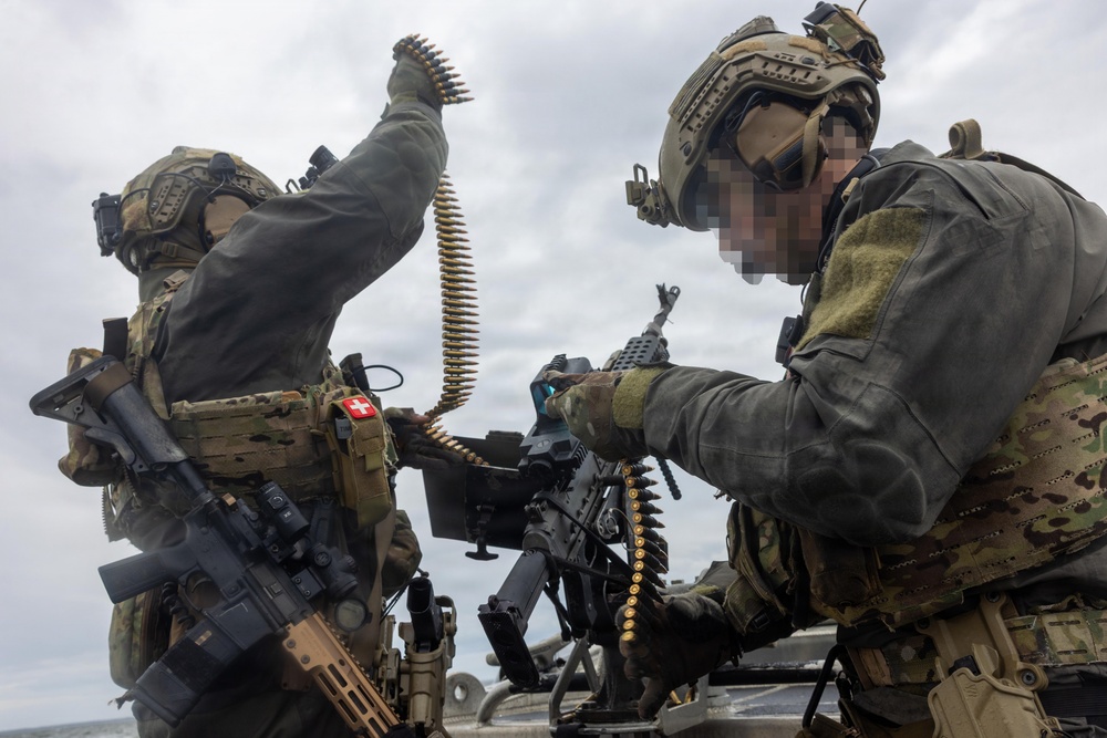 DVIDS - Images - USCG MSRT-E conducts live-fire training at Cherry ...