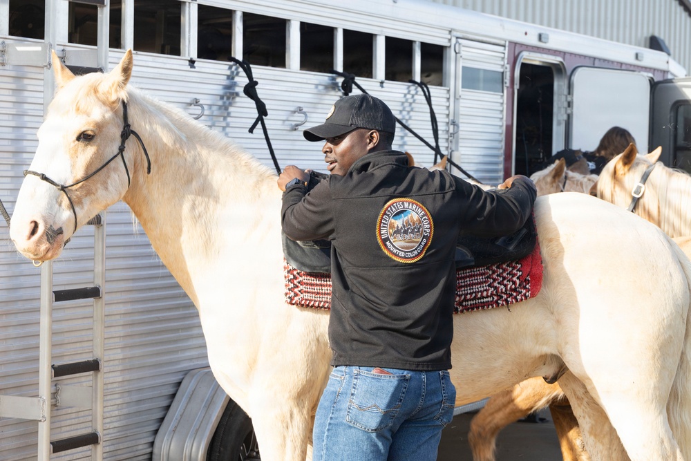 U.S. Marine Corps Mounted Color Guard conducts horsemanship training in preparation for Houston Livestock Show and Rodeo
