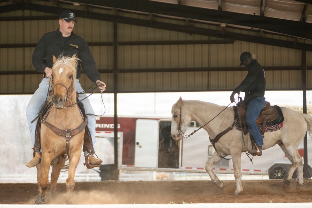 U.S. Marine Corps Mounted Color Guard conducts horsemanship training in preparation for Houston Livestock Show and Rodeo
