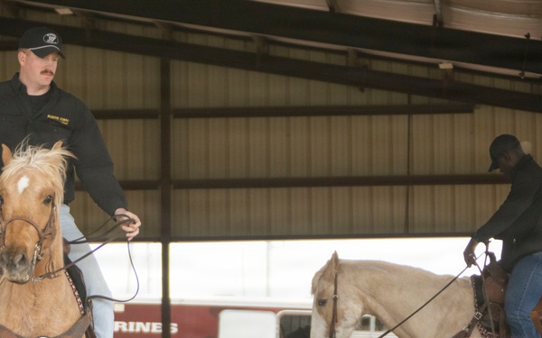 U.S. Marine Corps Mounted Color Guard conducts horsemanship training in preparation for Houston Livestock Show and Rodeo