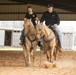 U.S. Marine Corps Mounted Color Guard conducts horsemanship training in preparation for Houston Livestock Show and Rodeo