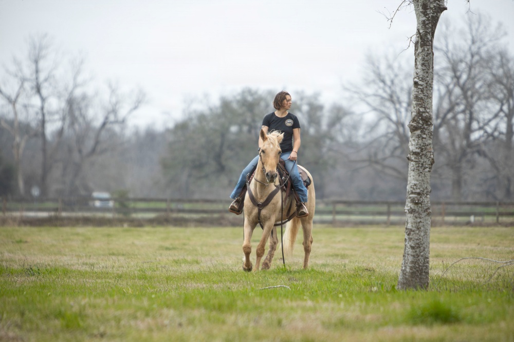 U.S. Marine Corps Mounted Color Guard conducts horsemanship training in preparation for Houston Livestock Show and Rodeo