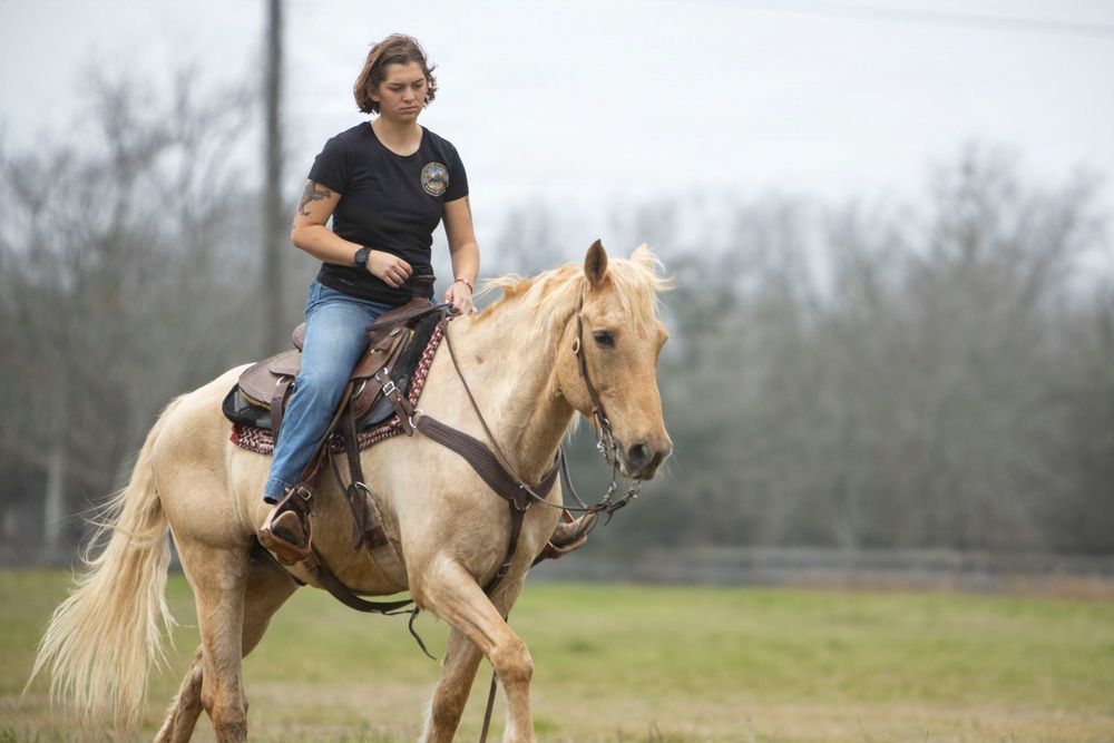 U.S. Marine Corps Mounted Color Guard conducts horsemanship training in preparation for Houston Livestock Show and Rodeo