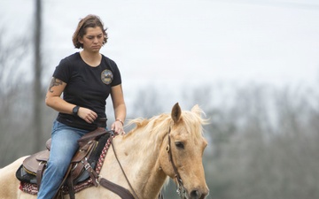 U.S. Marine Corps Mounted Color Guard conducts horsemanship training in preparation for Houston Livestock Show and Rodeo