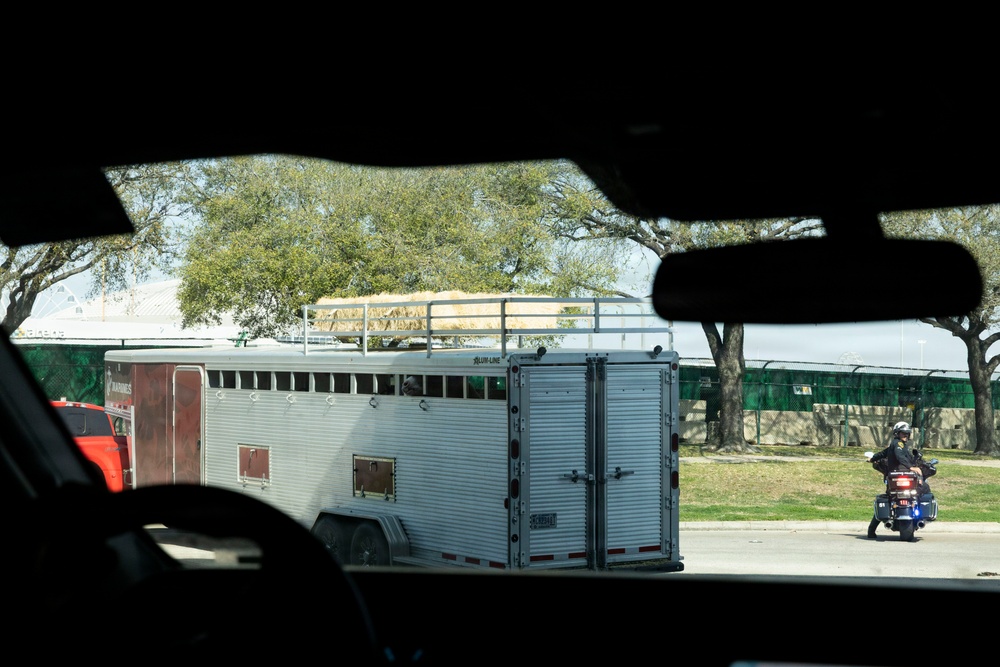 Police officers provide a motorcycle escort for the U.S. Marine Corps Mounted Color Guard to the Houston Livestock Show and Rodeo