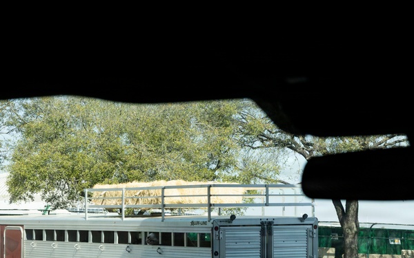 Police officers provide a motorcycle escort for the U.S. Marine Corps Mounted Color Guard to the Houston Livestock Show and Rodeo