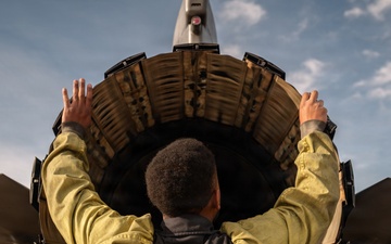 Tomahawk AMU: Catch and release