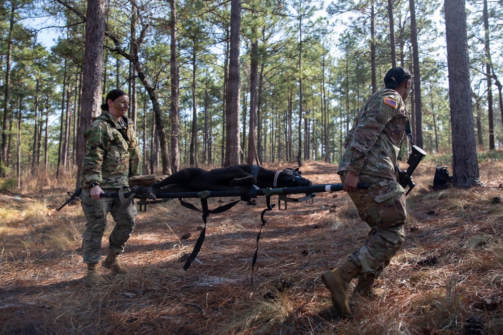 First Year Graduate Veterinary Education officers conduct tactical combat care training during Military Working Dog Week 2026
