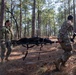 First Year Graduate Veterinary Education officers conduct tactical combat care training during Military Working Dog Week 2026