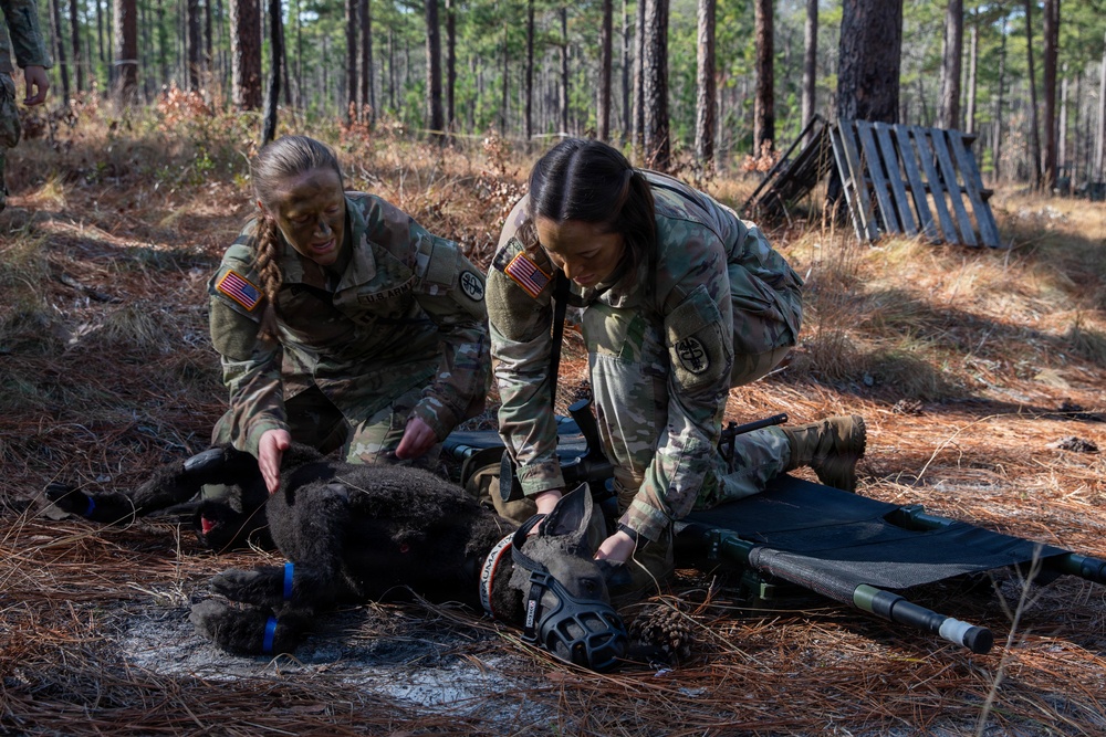 First Year Graduate Veterinary Education officers conduct tactical combat care training during Military Working Dog Week 2026