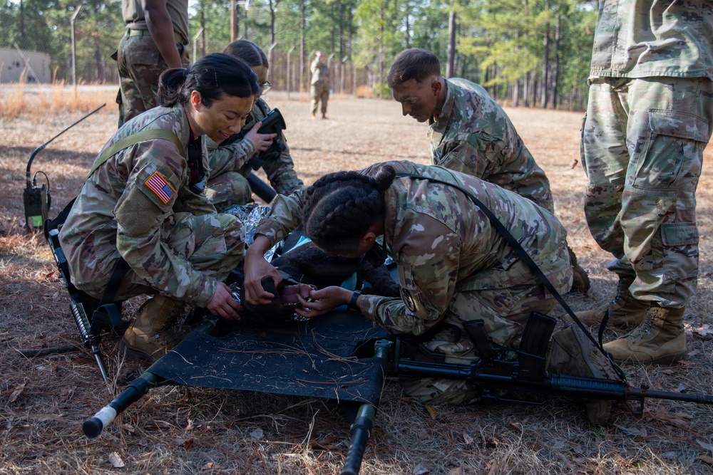 First Year Graduate Veterinary Education officers conduct tactical combat care training during Military Working Dog Week 2026