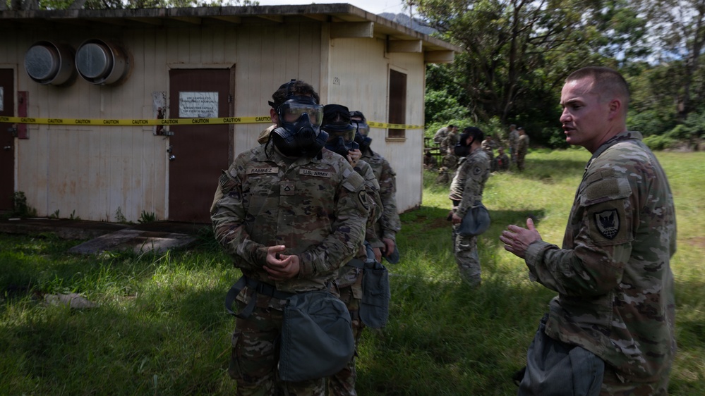 Soldiers Endure CS Gas During Best Squad Event