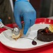 U.S. Army Reserve Pastry Chef of the Year