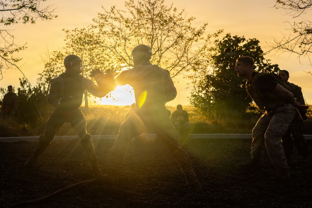 U.S. Marines with Martial Arts Instructor Course 48-26 participate in culminating event