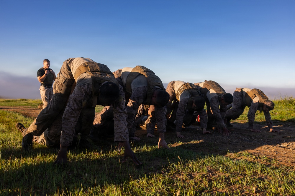 U.S. Marines with Martial Arts Instructor Course 48-26 participate in culminating event