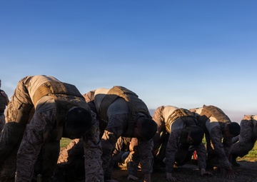 U.S. Marines with Martial Arts Instructor Course 48-26 participate in culminating event
