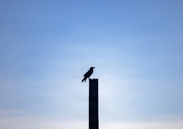 U.S. Marines with Martial Arts Instructor Course 48-26 participate in culminating event