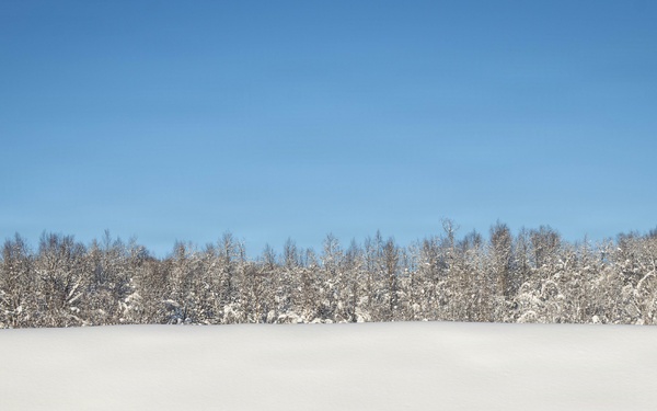 CORE26 | U.S. Marines and Sailors Test Combat Skills in Arctic Biathlon