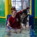Military working dogs participate in aquatics training