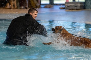 AFN Kaiserslautern Weather Bed 2026